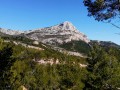 Ste Victoire vue du plateau