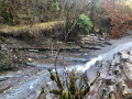 Suite du sentier herbeux