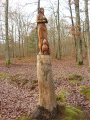 Sulpture en foret