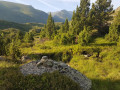 Sur le chemein, début de la montée vers le petit col