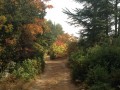 Sur le chemin après les 3 Termes à l'automne