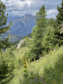 Boucle de l'Aiguille à Saint-Léger-les-Mélèzes