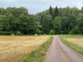 Sur le chemin des étangs de Corbé