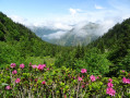 sur le chemin vers le col de Guzettou