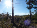 Le sentier de Laredaou à Ponsampère