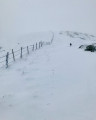 Les burons et le Col de Serre au départ de Lavialle