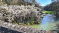 Sur le pont enjambant  le ruisseau des Bouvades .