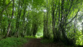 sur les chemins du Haut Berry