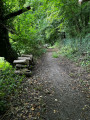 Tas de bois sur le sentier