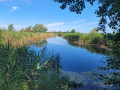 Thalasso Kurweg durch Markgrafenheide