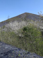 Les falandes depuis Haillicourt