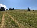 La Tête de Pommier depuis le Cians