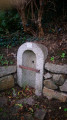 Woodland Walk Near Constantine, Helford
