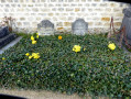 Tombe de Vincent et Théodore Van Gogh, cimetière d'Auvers sur Oise