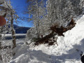 Tour du lac Pavin