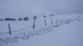 Tout près du somment du Rossberg