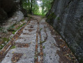 Levier : forêt de Maublin - Passage taillé