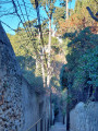 Escaliers et traverses du Roucas Blanc et de Vauban