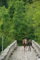 Traversée de la Dore, cheval en main