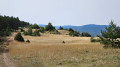 Traversée du plateau