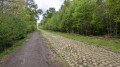 La Mare à Goriaux dans la Forêt de Raismes