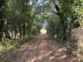 Boucle des Eyères
