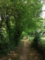 Un beau chemin non loin du lavoir de Trousse-Chemise