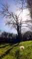 Un bol de verdure, de soleil, de bonheur fin mars