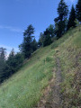 Un bon sentier à flanc de pente