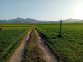 Un chemin qui donne à voir très loin