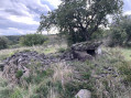 Un des nombreux dolmens