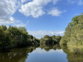 Un étang, Bois de Cicé