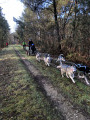 un Musher s'entraine  autour du lac