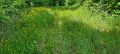 Sentier des trois lacs à Bulgnéville