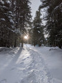 Un soleil timide indique le chemin