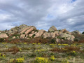 Pic de Rossilló et Dolmen du Pla de l'Arca