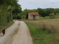 Une cabane à vignes