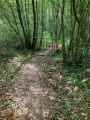 Une passerelle pour franchir le ruisseau