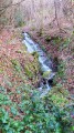 Une petite cascade en forêt