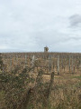 Sentier des chênes de Saint-Sauveur de Bergerac