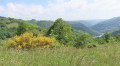 Les Corniches du Tarn à Fraissines