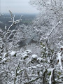 Une vue hivernale sur la Garonne