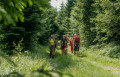 Out and about in the region&rsquo;s typical coniferous forests