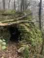 Cabane de berger sur le chemin de Peyremourou