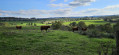 Entre ville et campagne à Aurillac