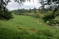 Circuit des oiseaux depuis Villeneuve-sous-Charigny