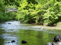 Vallée de l'Aveyron