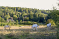 Vallée de l'Oison