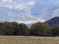 Vallée de la Thur depuis le Rossberg