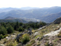 Vallée du Tech vue d'en haut